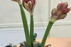 Site-AF-decembre-25-2