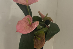 20250913_131506794_iOS