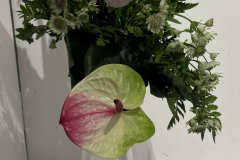 20250913_155057095_iOS