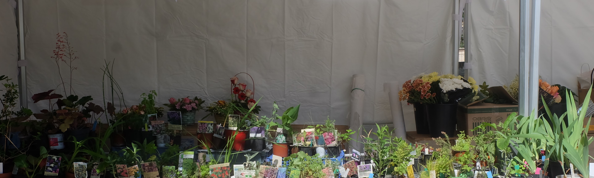 KERMESSE DE PRINTEMPS - TROC PLANTES MAI 2022 - VILLEMOMBLE